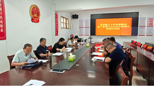 南阳市卧龙区青华镇开展2026年第三季度人大代表小组集中活动日活动