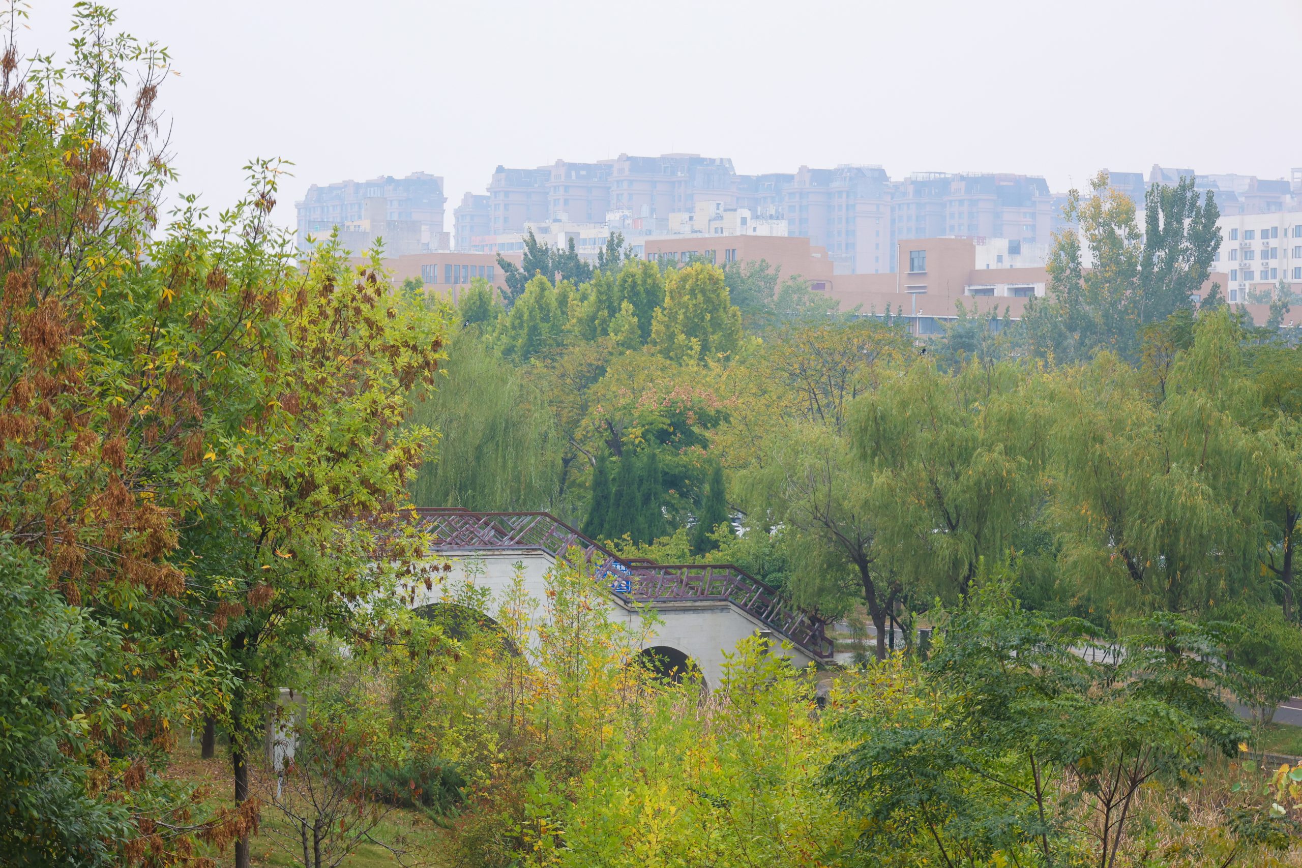 雨中古景 城色如画