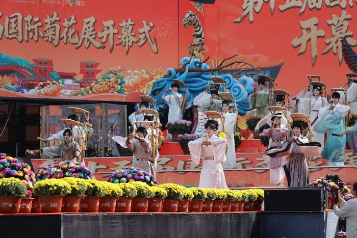 中国开封第44届菊花文化节2026年开封清明上河园景区第十五届国际菊花展开幕